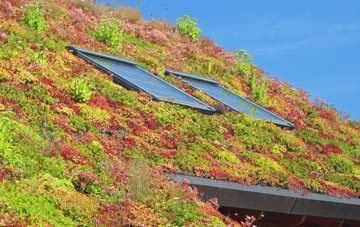 Penarth Moors living roof systems